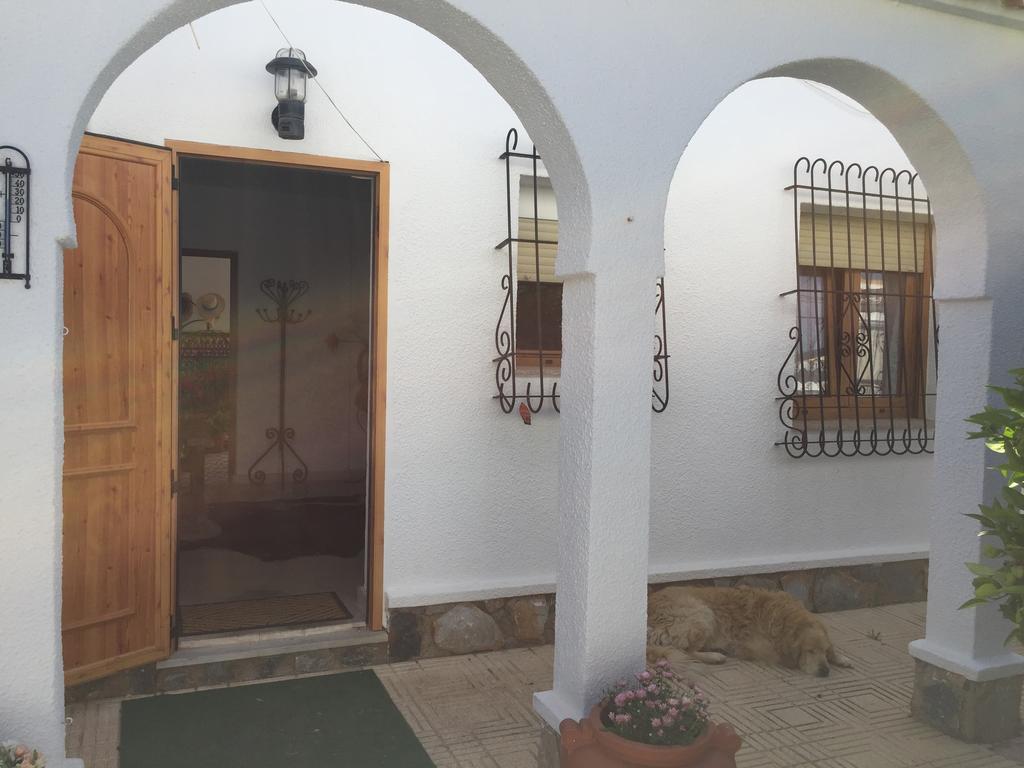 Hotel Esperanza à Torrevieja Extérieur photo